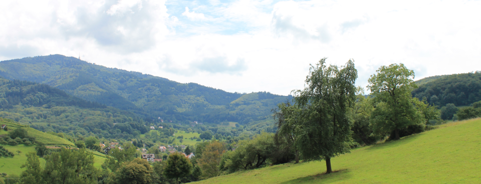 Badenweiler Lipburg