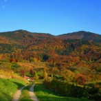 Blick vom Lipberg zum Hochblauen Bild: © K. Schmeißer