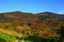 Blick vom Lipberg zum Hochblauen Bild: © K. Schmeißer