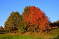 Badenweiler – Lipburg – Herbstlandschaft Lipburg Bild: © K. Schmeißer