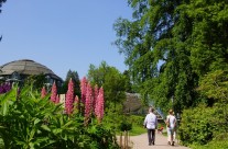 Badenweiler – Lipburg Kurpark Badenweiler Bild: © K. Schmeißer