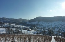 Badenweiler – Lipburg Winterlandschaft Bild: © K. Schmeißer